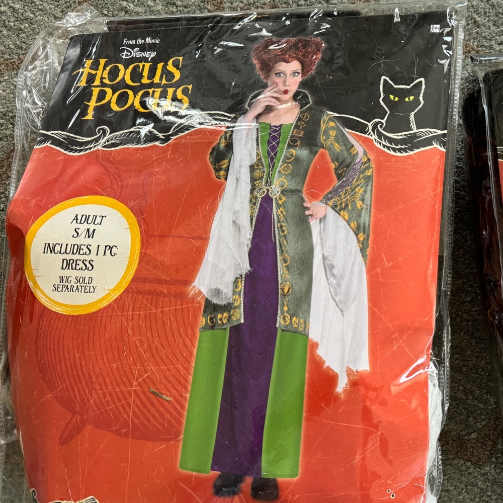 Winifred Sanderson costume